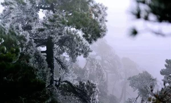 推进繁荣基层文化 丰富群众“精神家园”